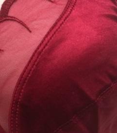 Style 7188 | Wire Satin Sheer Bra