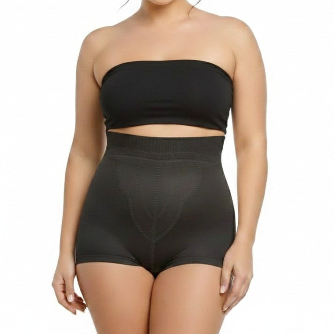 underwear for high cut dress Rago High Waist Medium Shaping Brief Panty Black / 4X/38